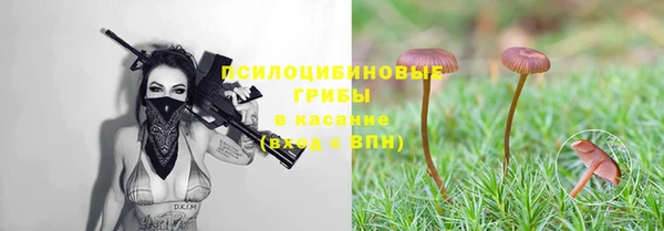 молекула духа Новодвинск