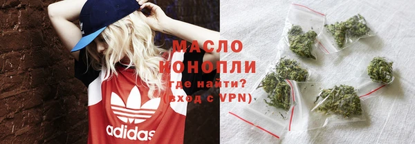 молекула духа Новодвинск