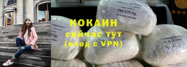 молекула духа Новодвинск