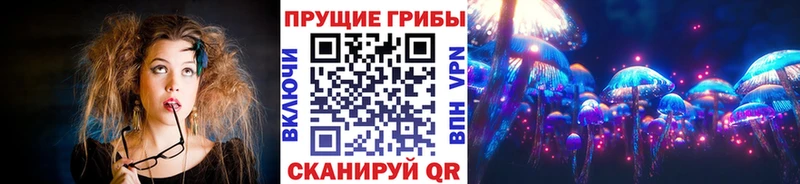 Галлюциногенные грибы Psilocybine cubensis  Хотьково 