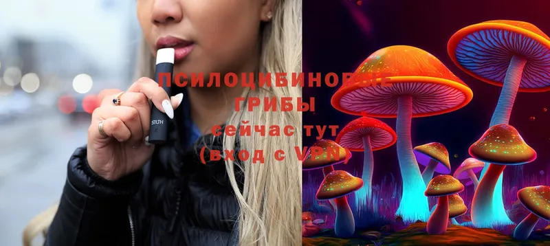 Галлюциногенные грибы Psilocybine cubensis  закладка  Хотьково 